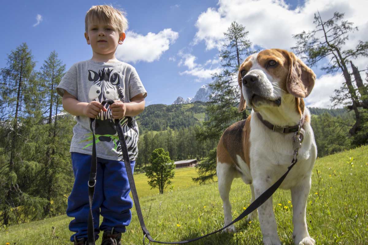 Wandern mit Hund SalzburgerLand Magazin