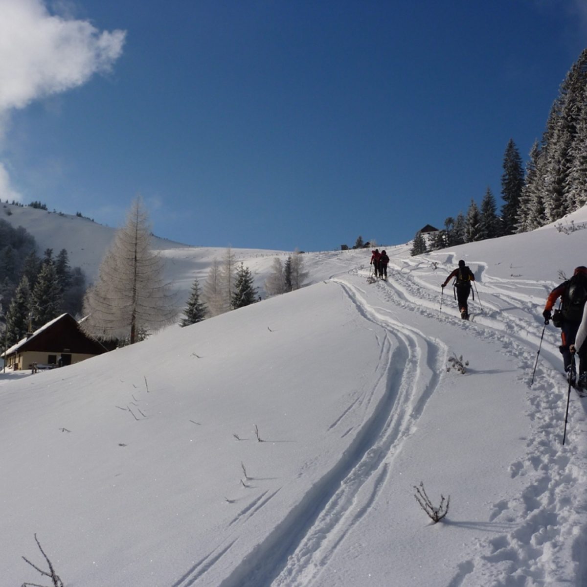 Spuren Im Schnee Der Tourenlehrpfad Salzkammergut Salzburgerland Magazin