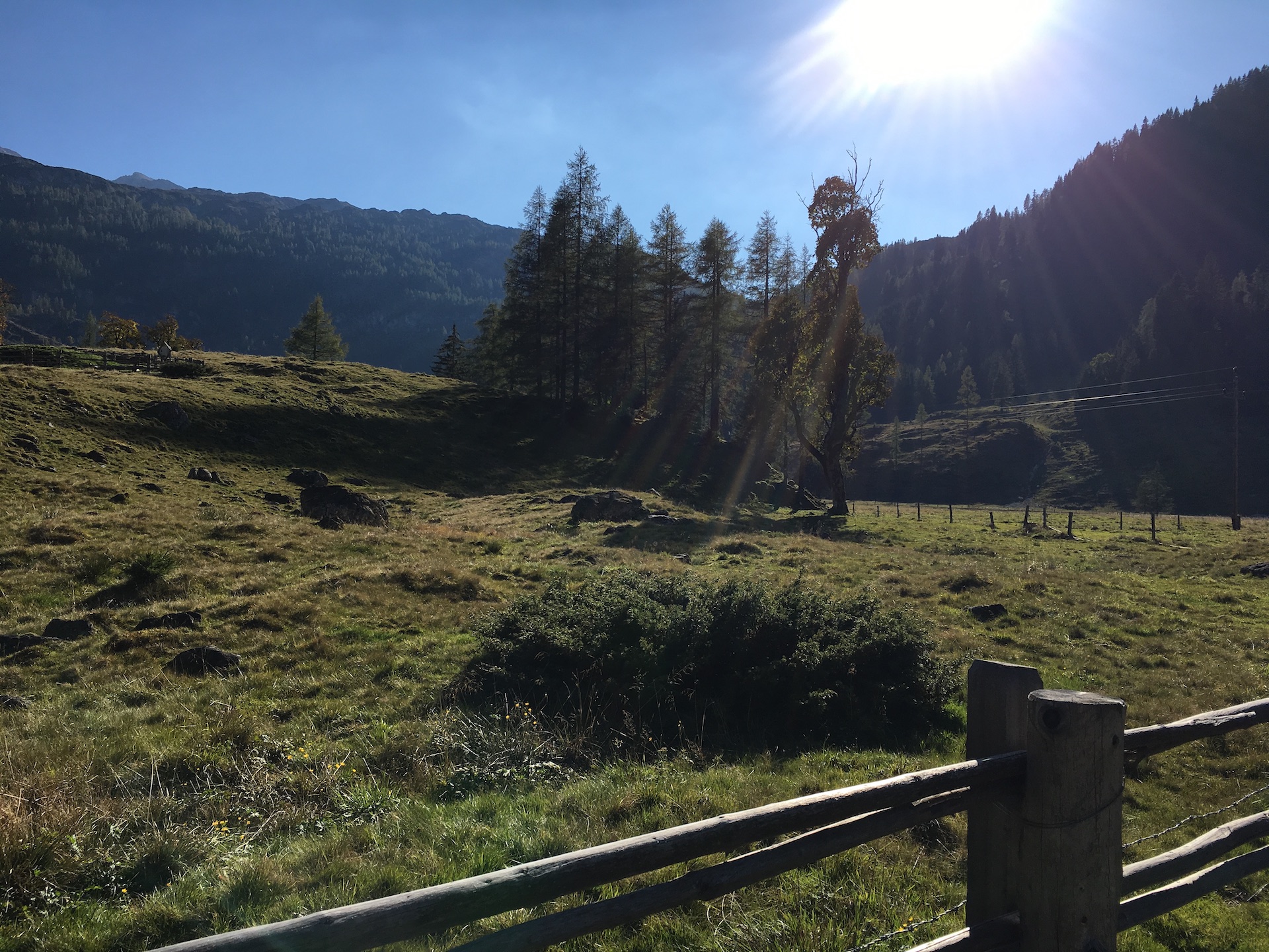 Alles Alm! Erlebnisweg Auf Der Gnadenalm - SalzburgerLand Magazin