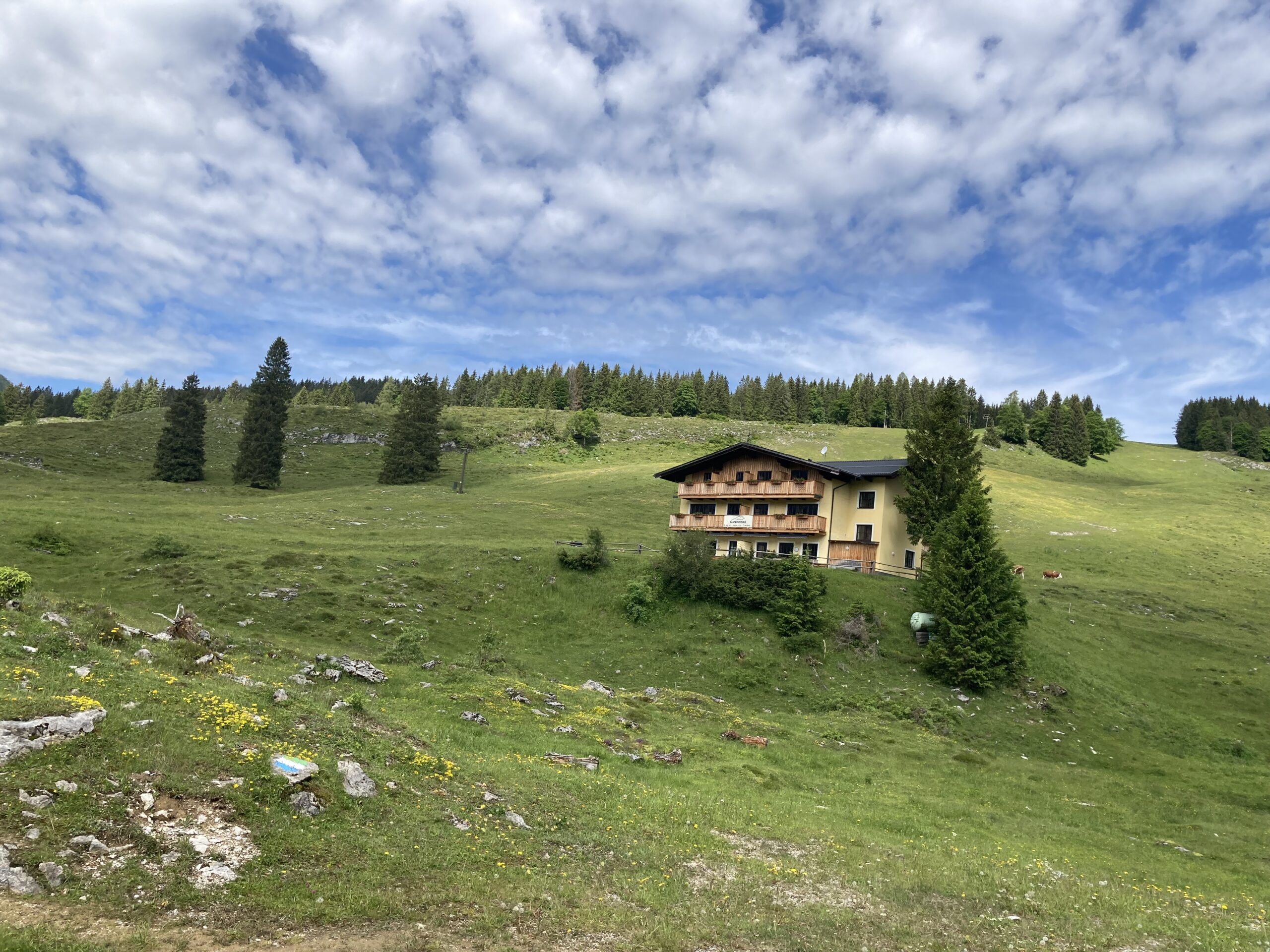 Appartements im Haus Alpenrose ...