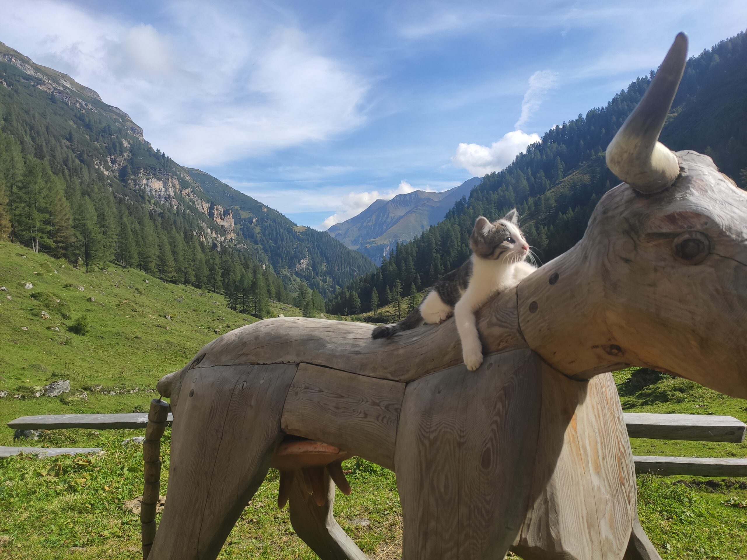 An der Melkkuh aus Holz können sich Kinder am Melken probieren. © Privat 