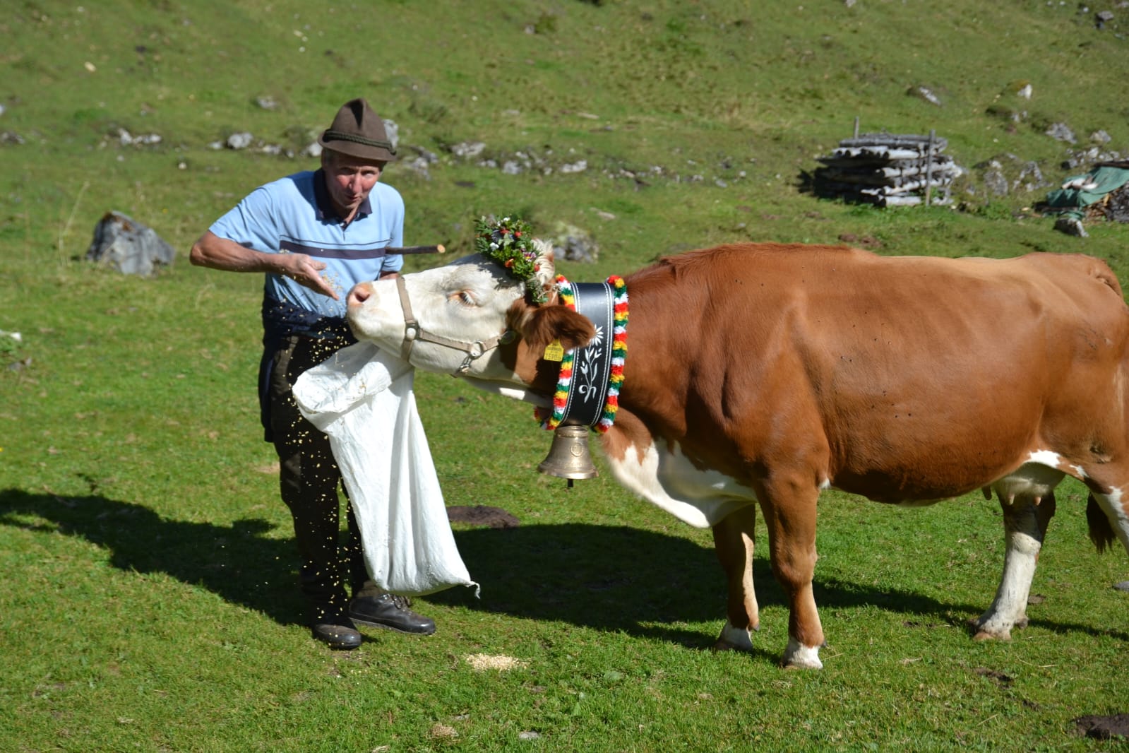 Altbauer Anton Pichler vor dem Almauftrieb im Herbst - denn auf der Litzelhofalm geht das Vieh am Ende des Almsommers hoch zur Glocknerstraße. © Privat 