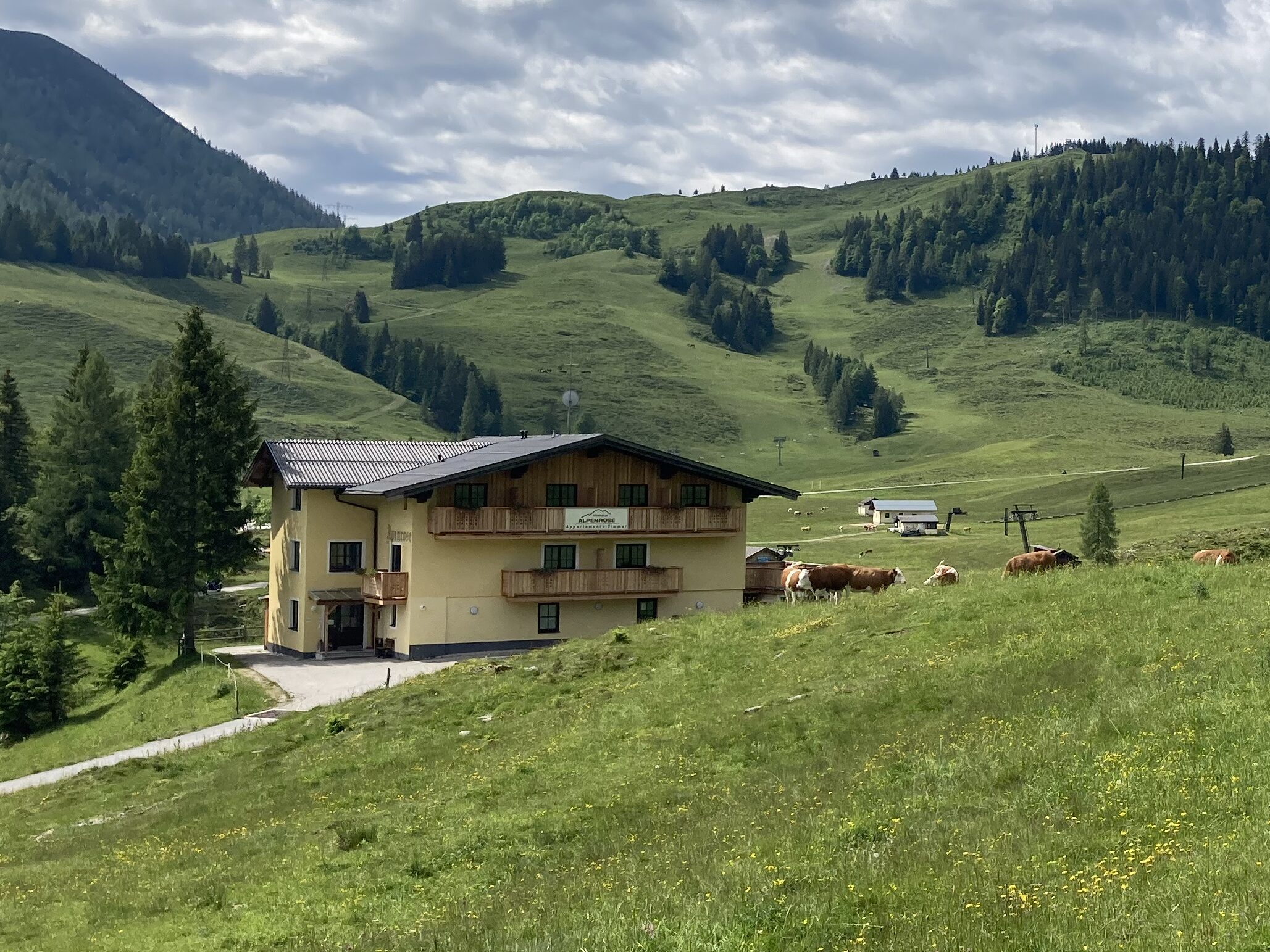 Im Appartementhaus Alpenrose nächtigen Gäste inmitten der Natur.
