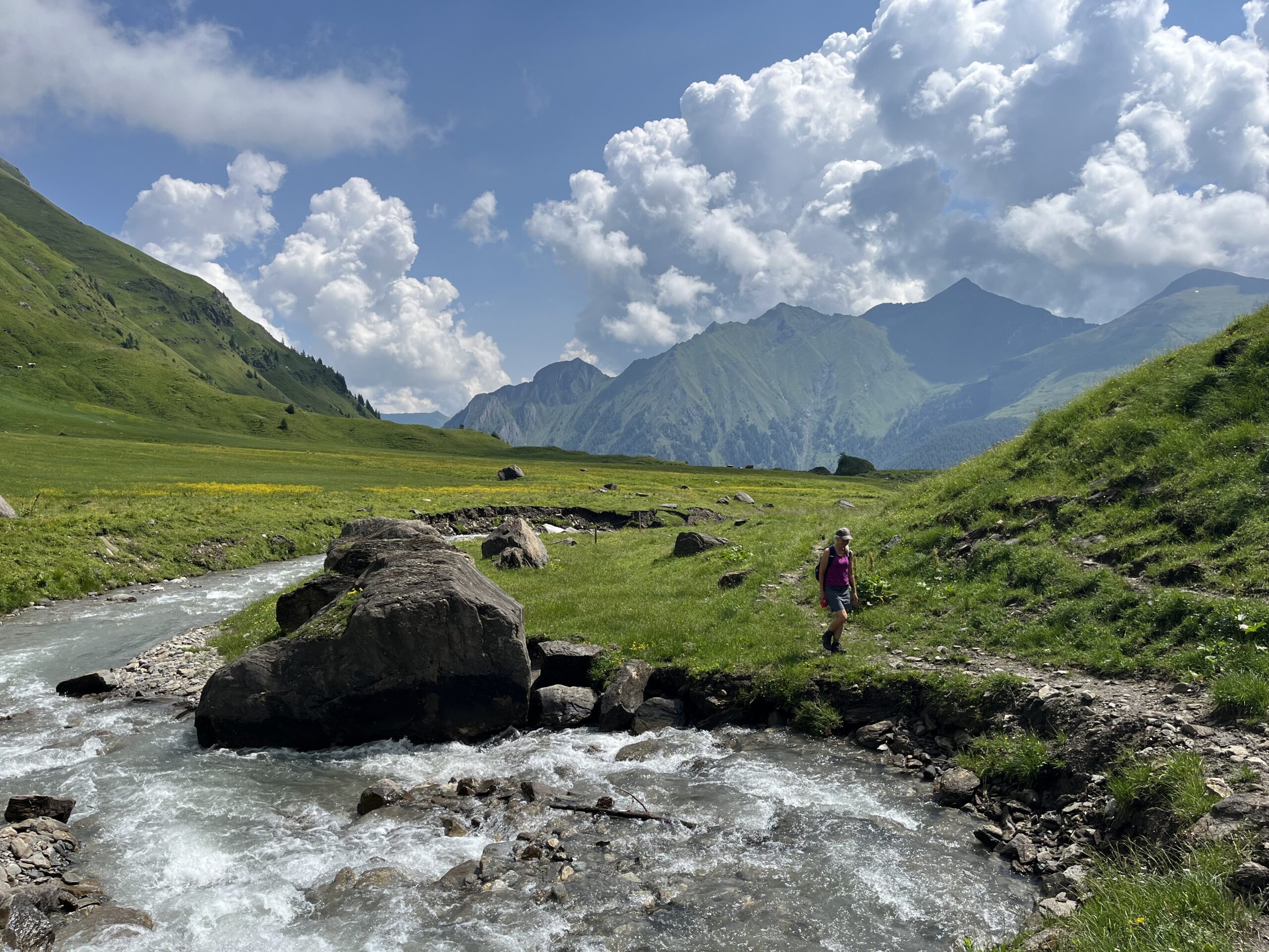 Der Bach mäandriert im Almgebiet