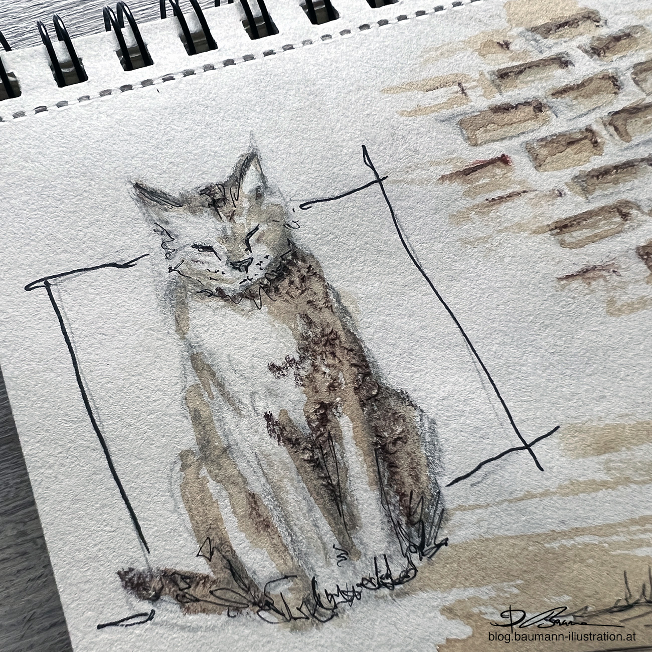 Die Katze hat andere Proportionen als ...