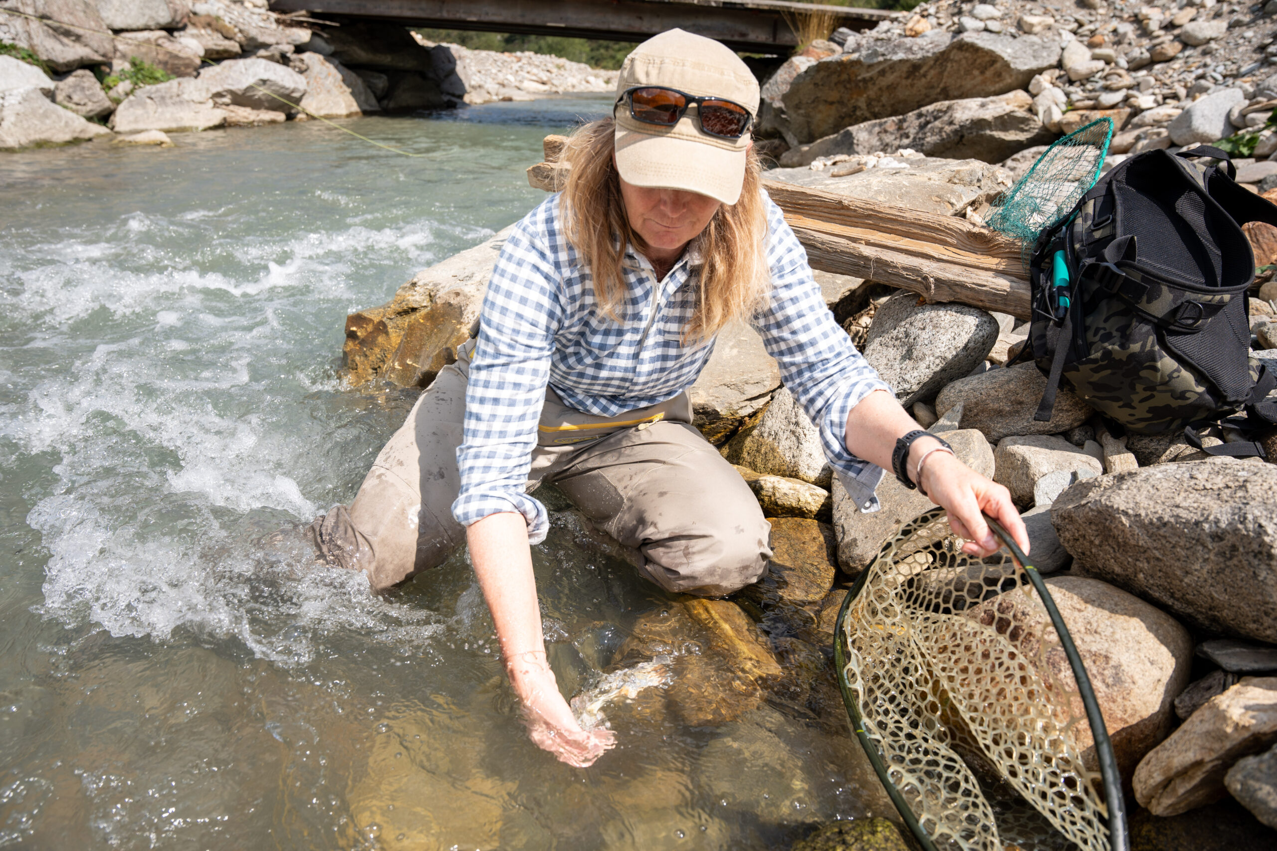 Sachte wird der Fisch wieder zurückgesetzt und munter schwimmt er davon. © Edith Danzer