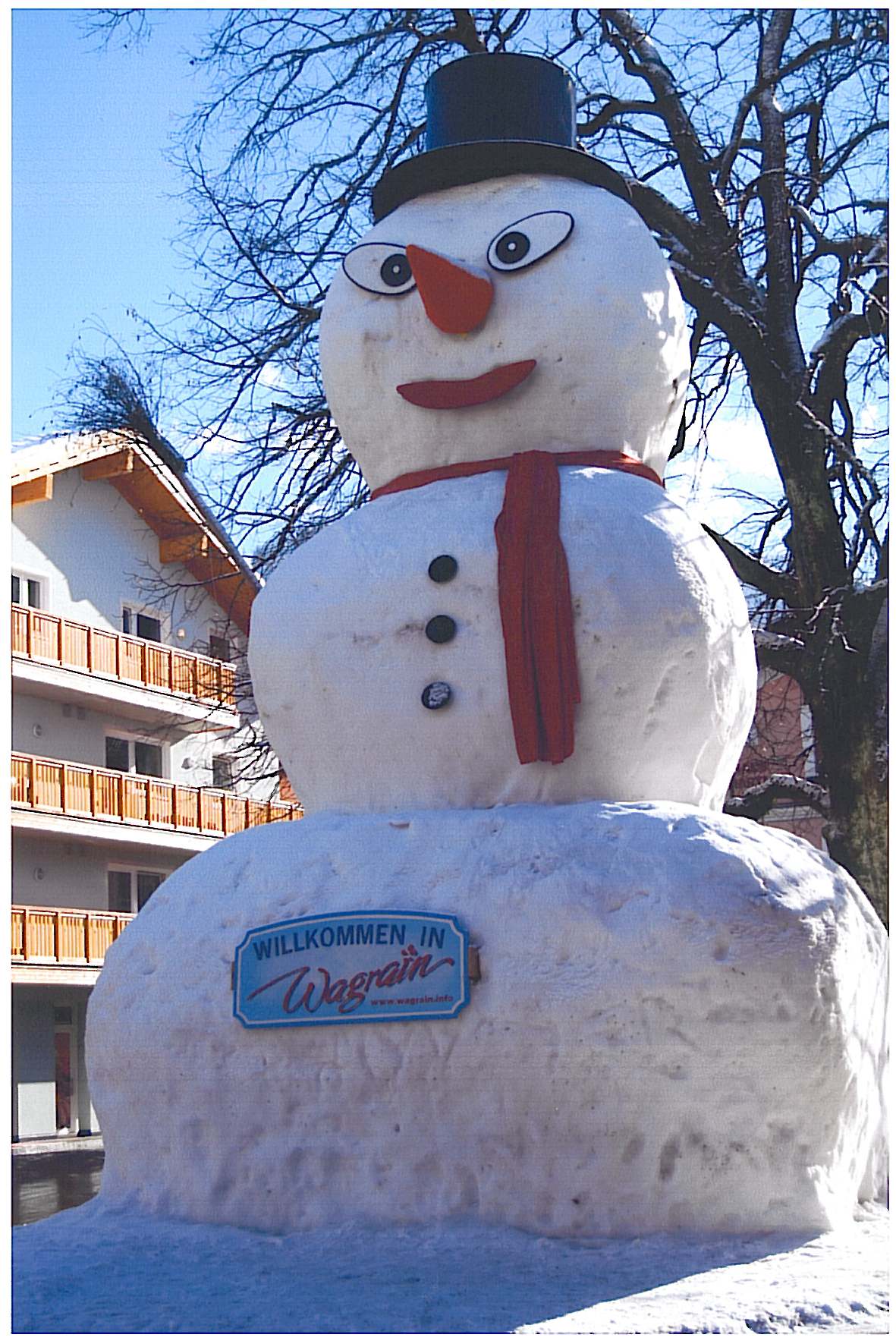 Schneemann 2008