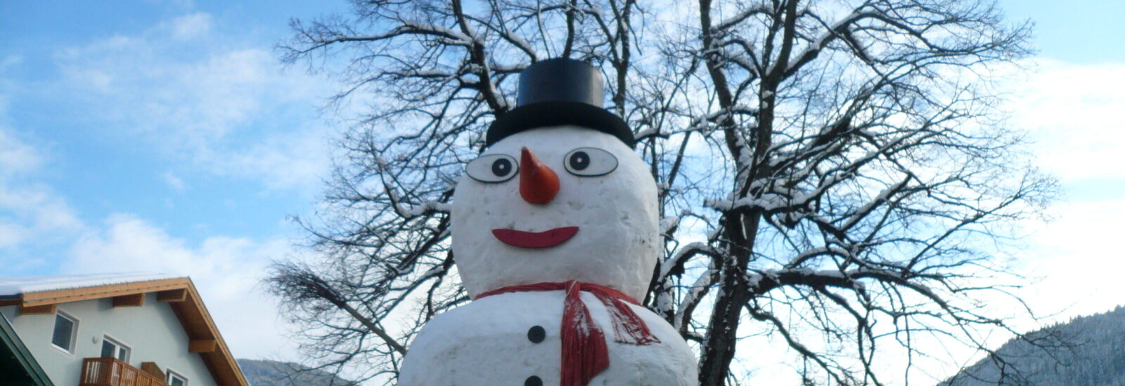 Schneemann 2010