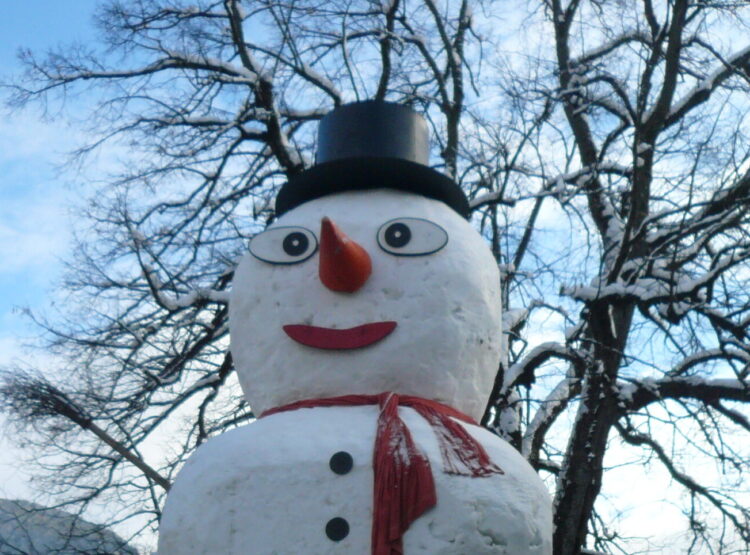 Schneemann 2010