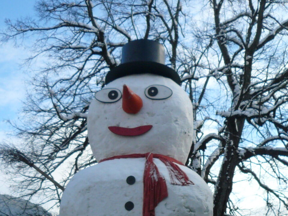 Schneemann 2010