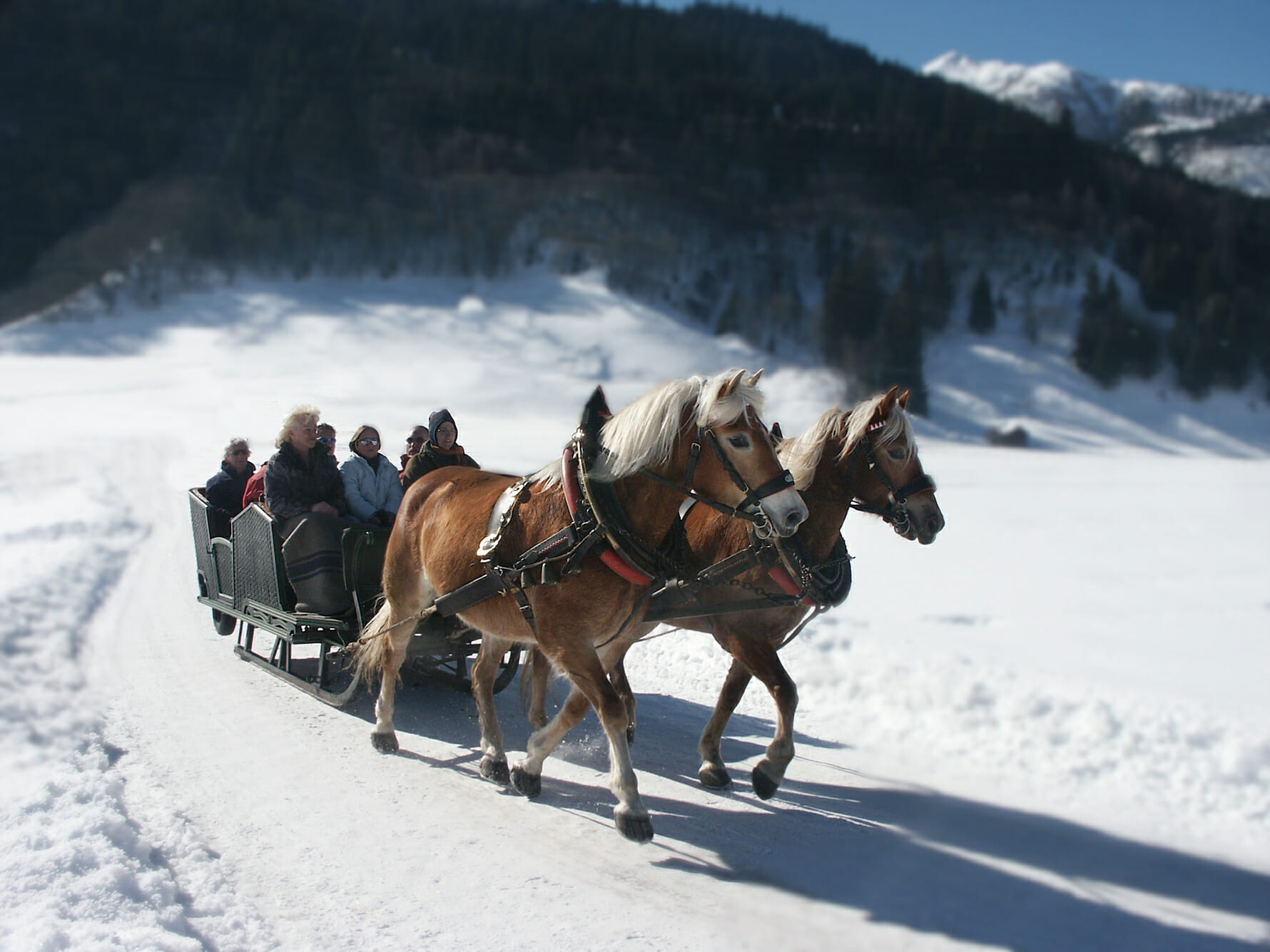 All Regions: Your holiday in SalzburgerLand, Austria